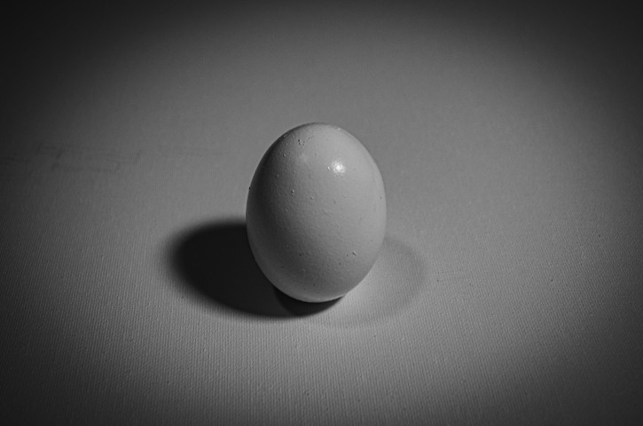 The egg. Class Activity 7. Negative Space