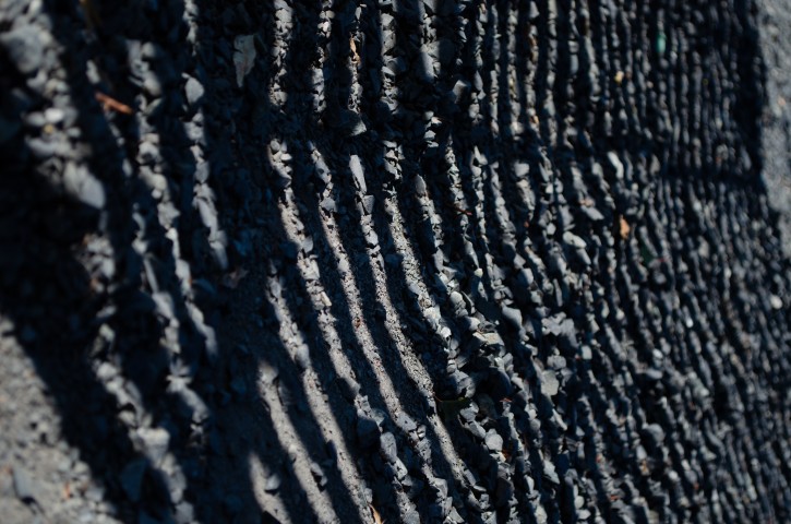 Urban Ribs. Class Activity 6. Urban landscapes and street photography